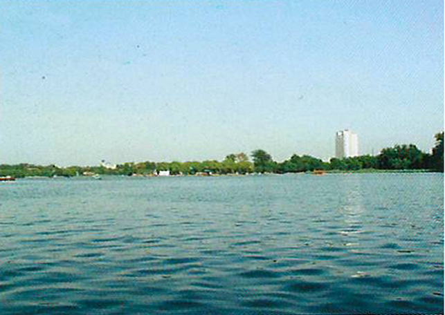 湖泊区域微污染水体净化